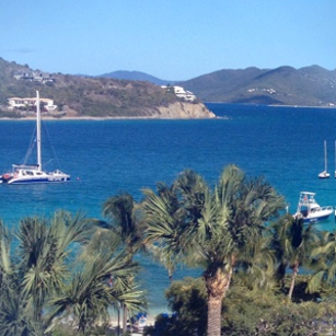 A beautiful view from the window of our luxury hotel in a Caribbean Island showing coconut trees and a boat in the sea